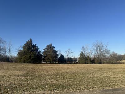Paradise Lane Lot # 2, Poplar Bluff, Missouri 63901, Amerika Birleşik Devletleri