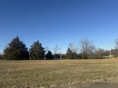 Paradise Lane Lot # 2, Poplar Bluff, Missouri 63901, Amerika Birleşik Devletleri