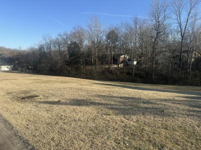 Paradise Lane Lot # 17, Poplar Bluff, Missouri 63901, Amerika Birleşik Devletleri