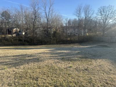 Paradise Lane Lot # 18, Poplar Bluff, Missouri 63901, Amerika Birleşik Devletleri