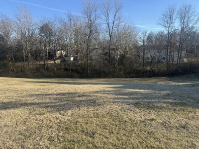 Paradise Lane Lot # 18, Poplar Bluff, Missouri 63901, Amerika Birleşik Devletleri