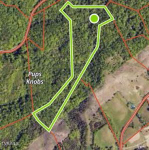 Tbd Rocky Hollow Road Road, Rogersville, Tennessee 37857, HOA KỲ