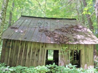 Tbd Rocky Hollow Road Road, Rogersville, Tennessee 37857, HOA KỲ