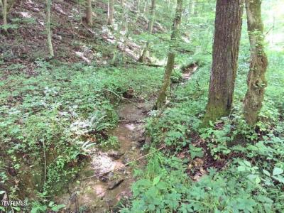 Tbd Rocky Hollow Road Road, Rogersville, Tennessee 37857, HOA KỲ