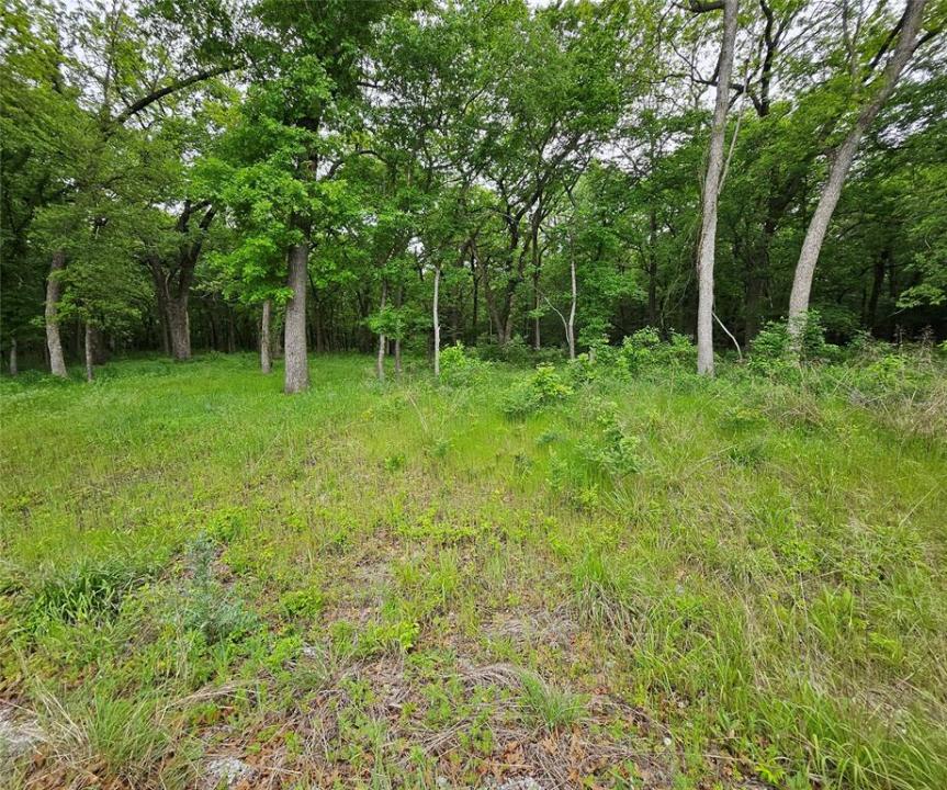 Lot 221 Banjo Court, Alvord, テキサス 76225, アメリカ合衆国