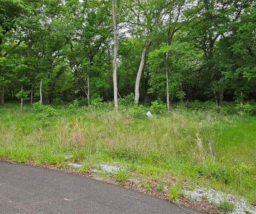 Lot 221 Banjo Court, Alvord, テキサス 76225, アメリカ合衆国
