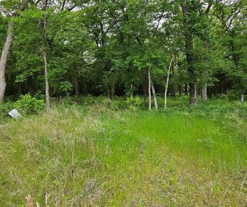 Lot 221 Banjo Court, Alvord, テキサス 76225, アメリカ合衆国