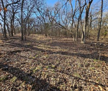 Lot 221 Banjo Court, Alvord, テキサス 76225, アメリカ合衆国