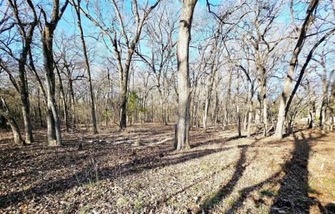 Lot 221 Banjo Court, Alvord, テキサス 76225, アメリカ合衆国