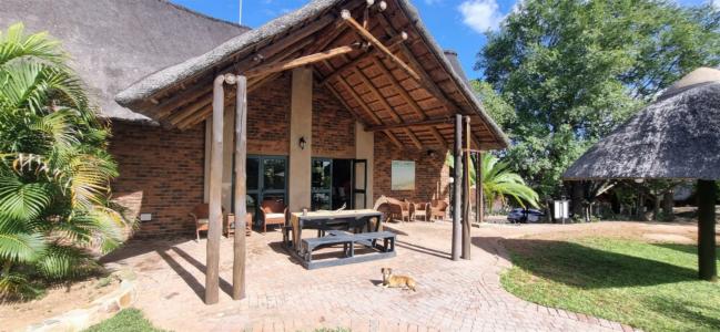 Hoedspruit, Limpopo, Südafrika