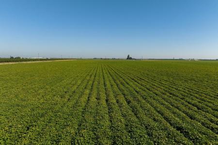 15490 Atwater Jordan Road, Livingston, California 95334, Estados Unidos