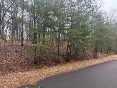 0 Northland Trail, Ellijay, Georgia 30536, Amerika Birleşik Devletleri