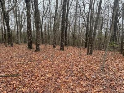 0 Northland Trail, Ellijay, Georgia 30536, Amerika Birleşik Devletleri
