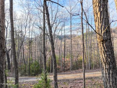 Tbd Black Oak Dr, Sevierville, Tennessee 37876, USA