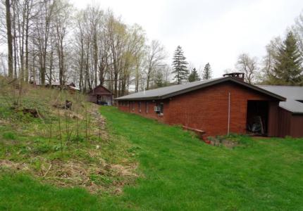 7761 E Reading Road E, Pittsford, Michigan 49271, Amerika Birleşik Devletleri