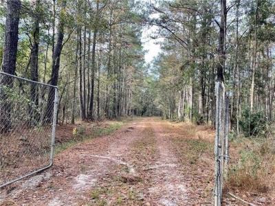 37285 DUMMYLINE Road, Pearl River, Louisiana 70452, Stati Uniti