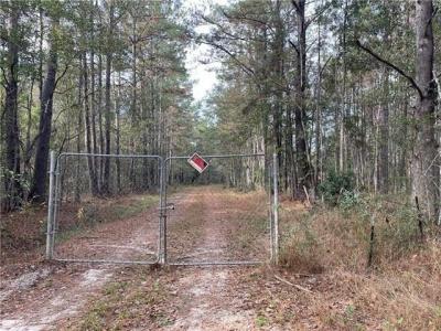 37285 DUMMYLINE Road, Pearl River, Louisiana 70452, Stati Uniti