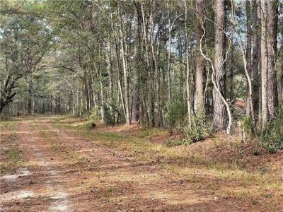 37285 DUMMYLINE Road, Pearl River, Louisiana 70452, Stati Uniti