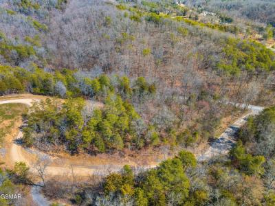 Lot 8 Emerald Waters Dr, Newport, Tennessee 37821, Estados Unidos