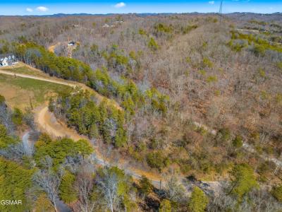 Lot 8 Emerald Waters Dr, Newport, Tennessee 37821, Estados Unidos