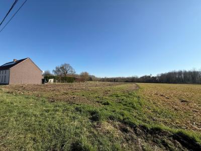 Rue de Chièvres 51E 2, Saint-ghislain, 比利时