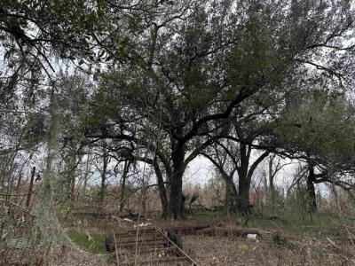 318 Judith, Chauvin, Louisiane 70344, États-Unis