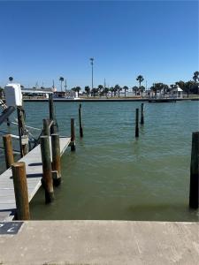 337 Rex Pl. #B, Madeira Beach, Флорида 33708, Соединенные Штаты