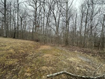 9 Ginger Drive, Dover, Tennessee 37058, Stati Uniti