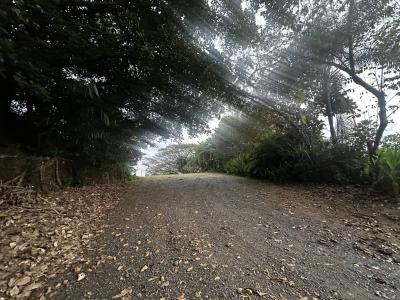 Playa Esterillos Parrita, Puntarenas 60901, Costa Rica