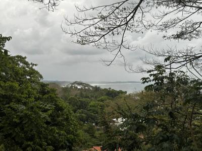 Playa Esterillos Parrita, Puntarenas 60901, Costa Rica