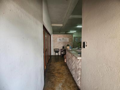 Hoedspruit, Limpopo, 남아프리카