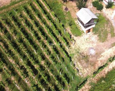 Šentjur, Slatina pri Ponikvi, Šentjur, Savinjska 3232, 斯洛維尼亞