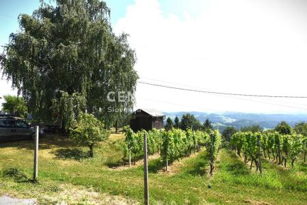 Šentjur, Slatina pri Ponikvi, Šentjur, Savinjska 3232, 斯洛維尼亞