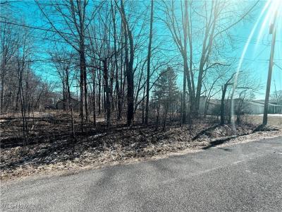 Lane Avenue, Rootstown, Ohio 44266, Estados Unidos