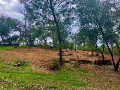 Placerville Dr Drive, Placerville, California 95667, USA