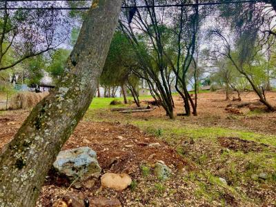 Placerville Dr Drive, Placerville, 캘리포니아 95667, 미국