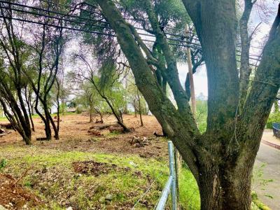 Placerville Dr Drive, Placerville, 캘리포니아 95667, 미국