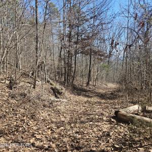 0 Lick Creek Rd, Tellico Plains, Tennessee 37385, USA