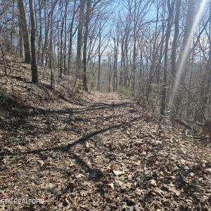 0 Lick Creek Rd, Tellico Plains, Tennessee 37385, USA