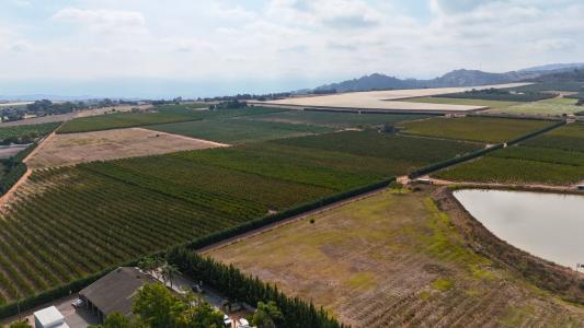 Paarl, Western Cape, 南アフリカ