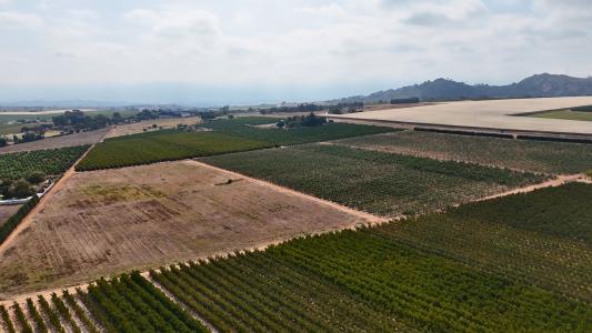Paarl, Western Cape, 南アフリカ