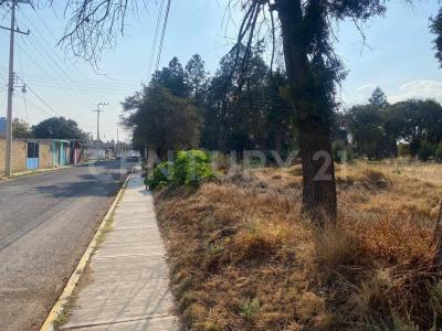 DE LA LUZ SN,, Yauhquemehcan, Tlaxcala 90301, Mexique