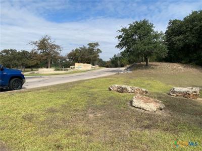 Tbd (id 319590) Cheyenne Pass, Salado, Texas 76571