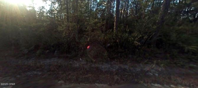 0 Forest Drive, Fuente, Florida 32438, Estados Unidos