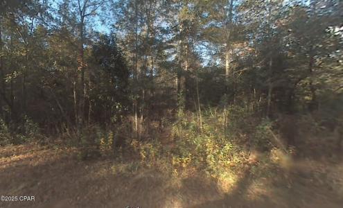 0 Krocus Street, Fuente, Florida 32438, Estados Unidos