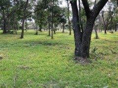 0 County Road 306, Brazoria, Texas 77422, HOA KỲ