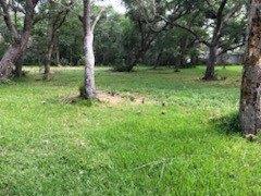 0 County Road 306, Brazoria, Texas 77422, HOA KỲ