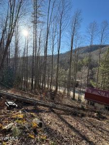 6020 Forge Creek Road, Mountain City, Tennessee 37683, USA