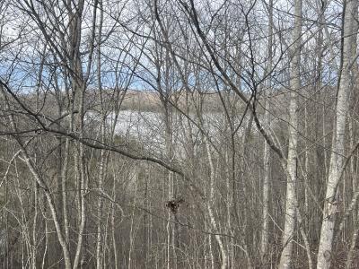 Lot 89 Cumberland Shores , Monticello, Kentucky 42633, HOA KỲ