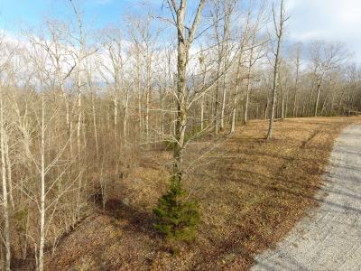 Lot 89 Cumberland Shores , Monticello, Kentucky 42633, HOA KỲ